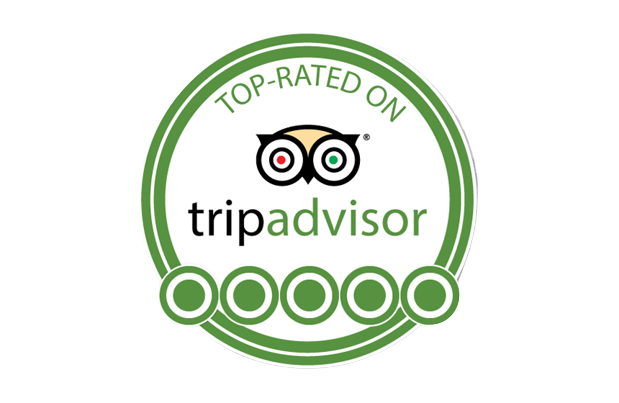 Best India tour provider on tripadvisor
