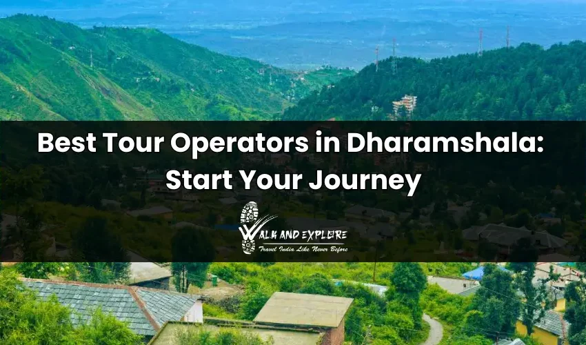 Best Tour Operators in Dharamshala: Start Your Journey